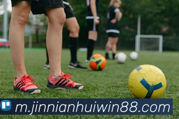 金年会APP 封面图